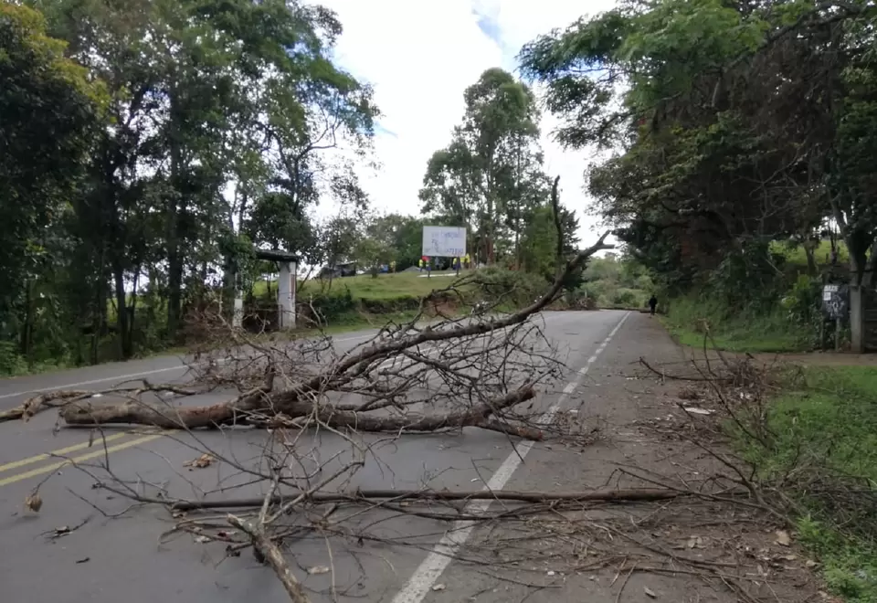 Vía panamericana Cauca