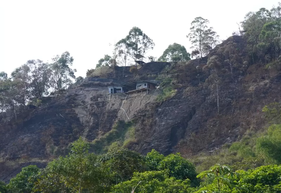 Invasiones tras incendio forestal en La Buitrera, al sur de Cali
