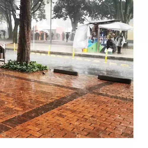 También se presentó la caída de un árbol sobre vía pública en la calle 147 