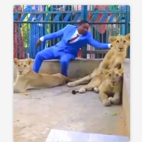 Pastor recrea historia bíblica jugando con leones [VIDEO]