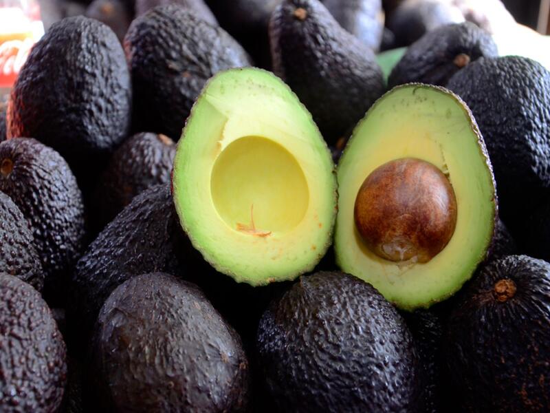 Aguacate Hass Aguacate Hass