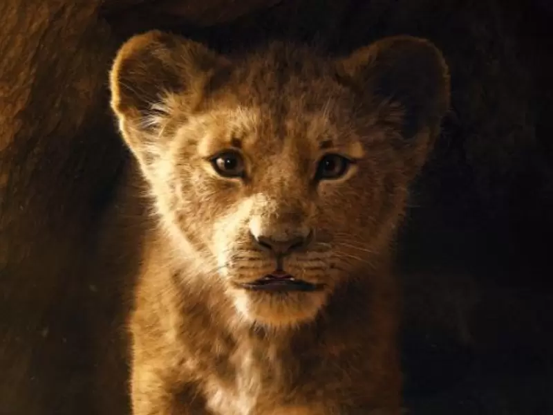El Rey León, película en acción real El Rey León, película en acción real