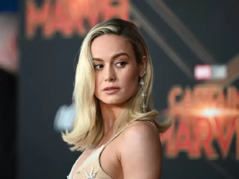 Brie larson clearance en ropa interior