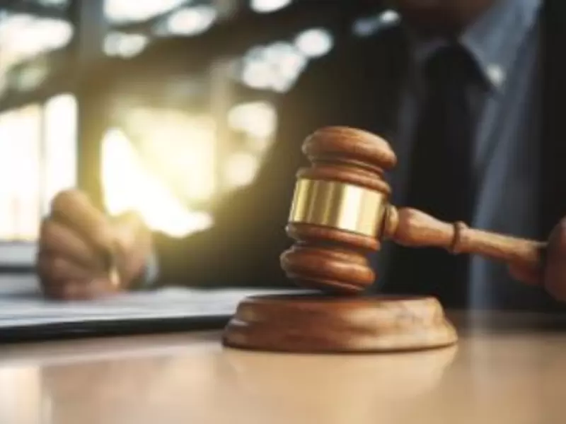 Tutela, ¿cómo tramitar sus derechos sin salir de casa?