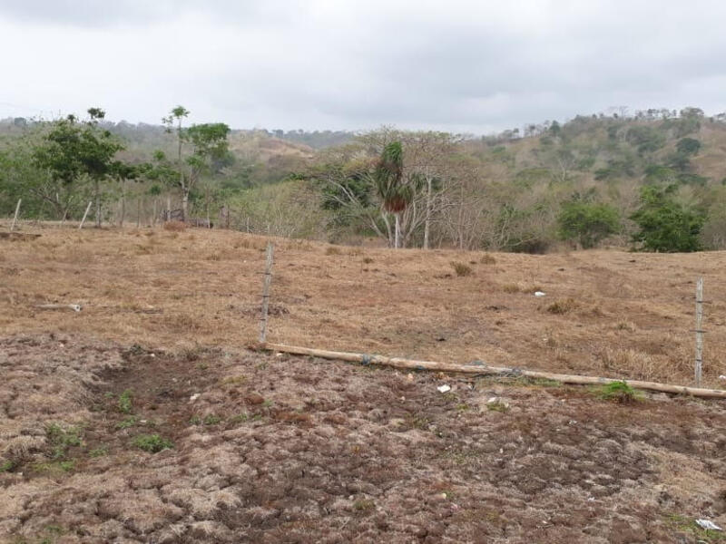 Sequía Urabá