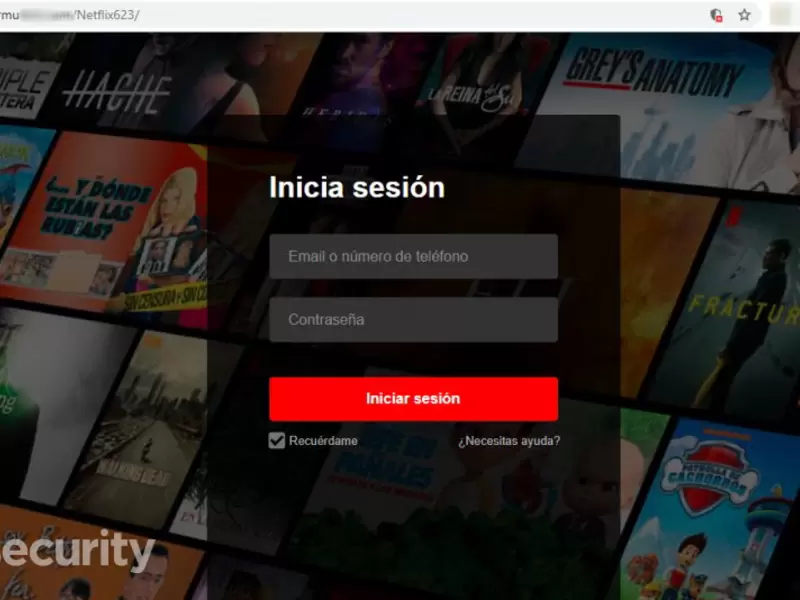 Acceso a Netflix