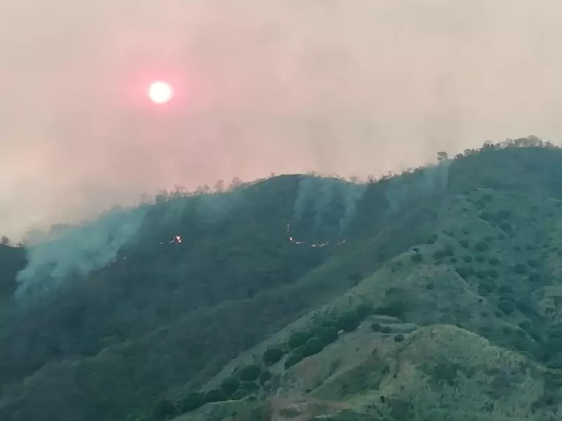 Control de incendio forestal en el macizo montañoso