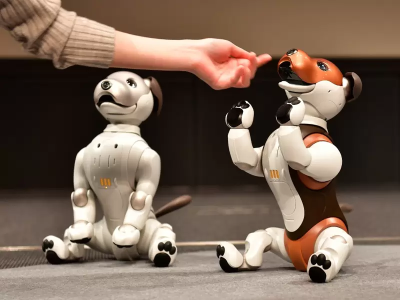 Perro robot