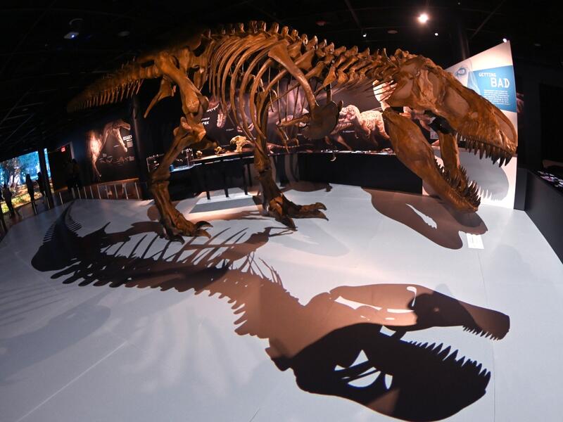Dinosaurio