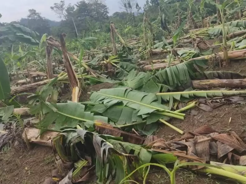 La emergencia ocurrió en Tierralta.