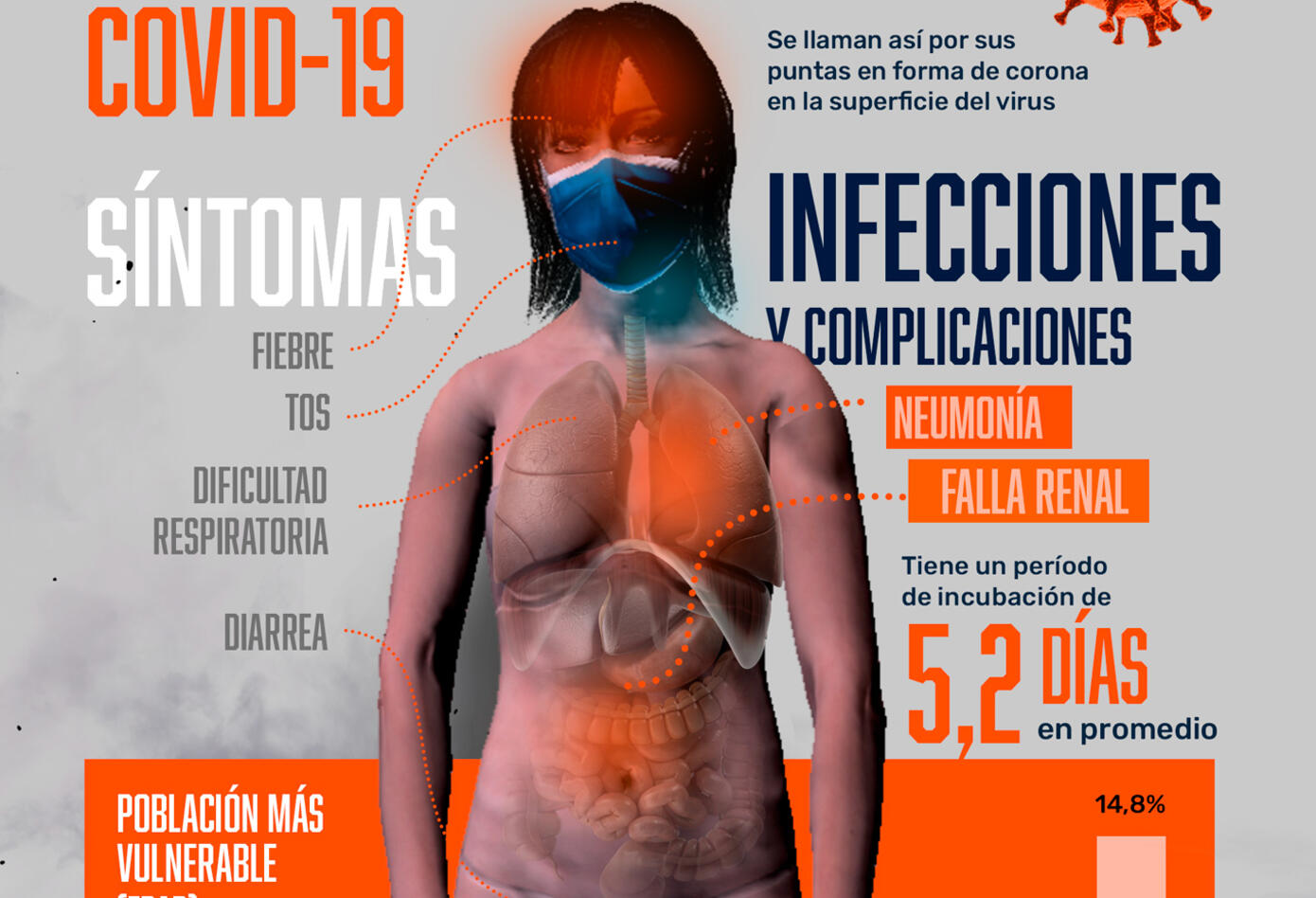 Infografía coronavirus 2