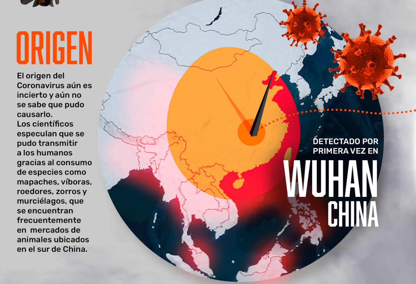 Infografía coronavirus 3