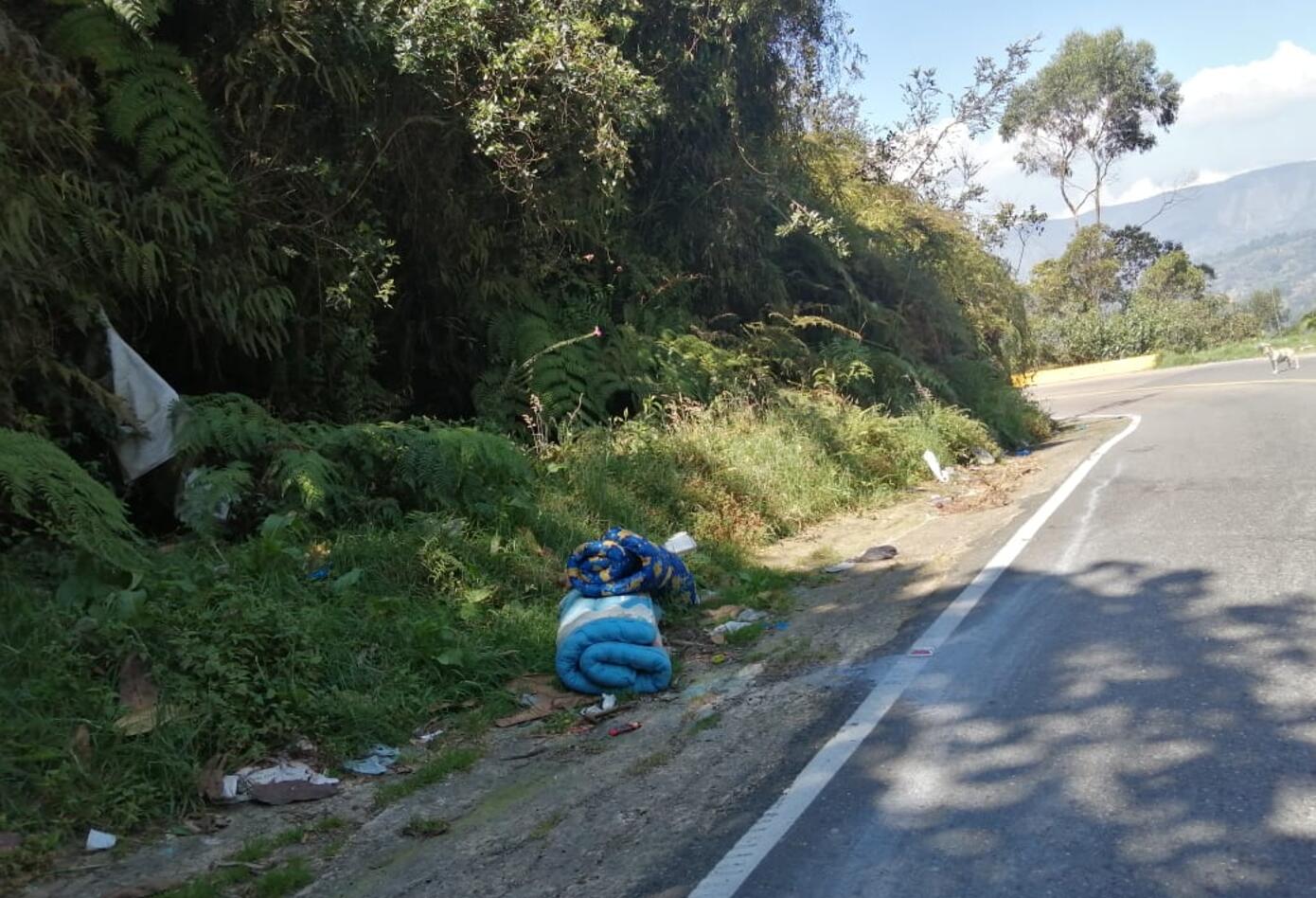 Basuras a orillas de la carretera