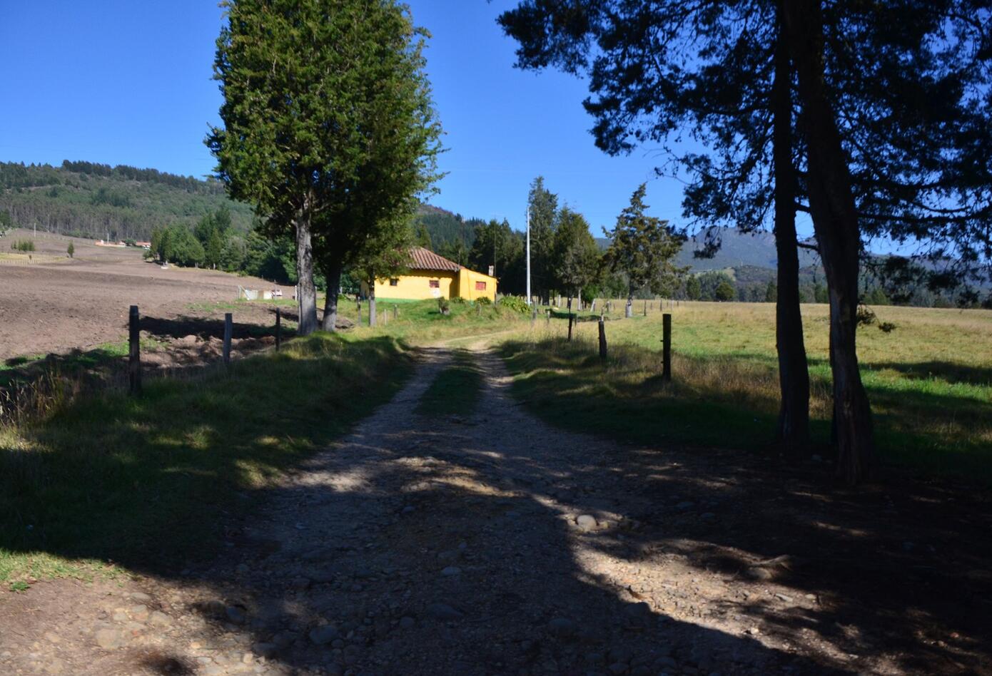 Finca Sanclemente