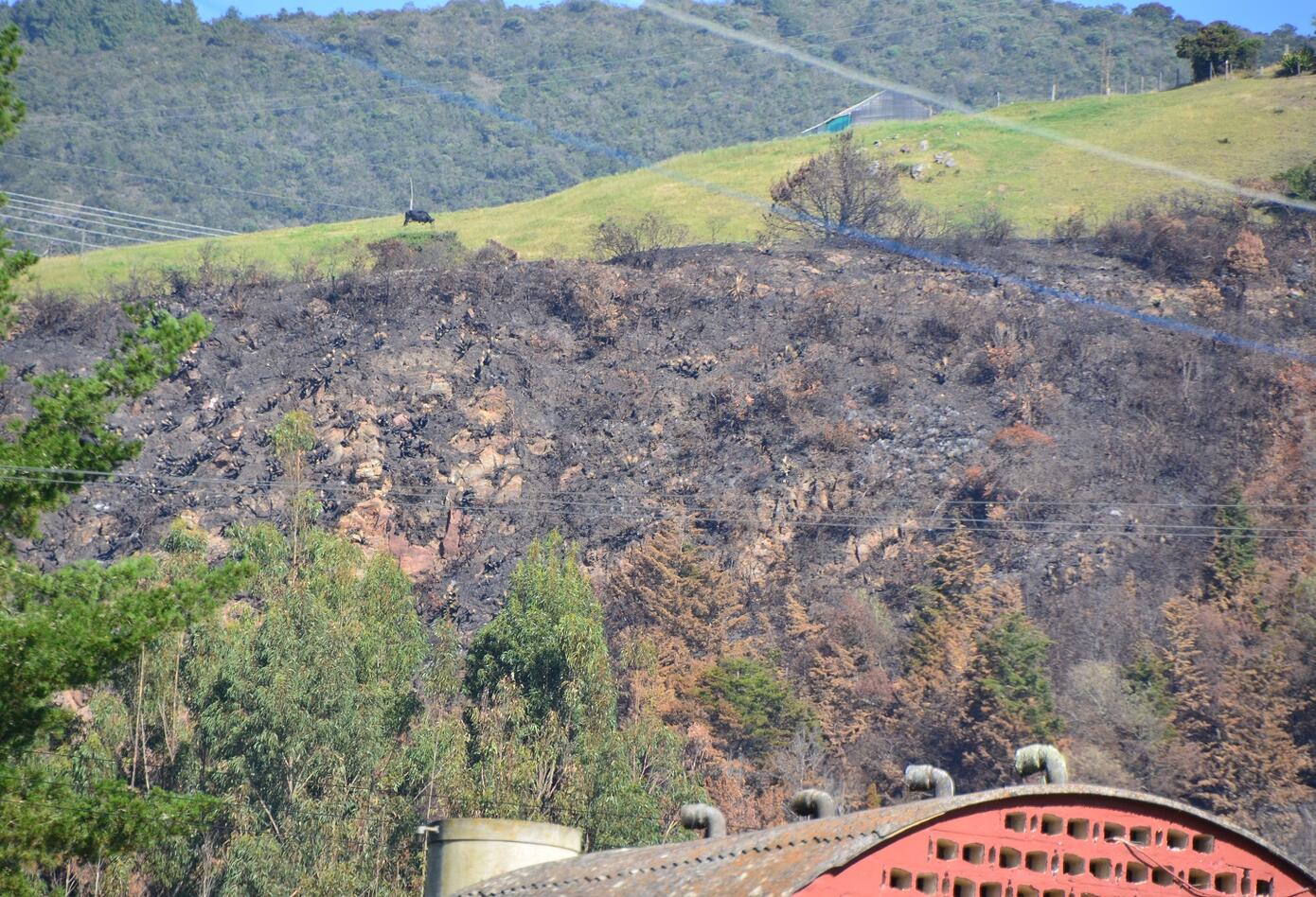 Incendios Forestales