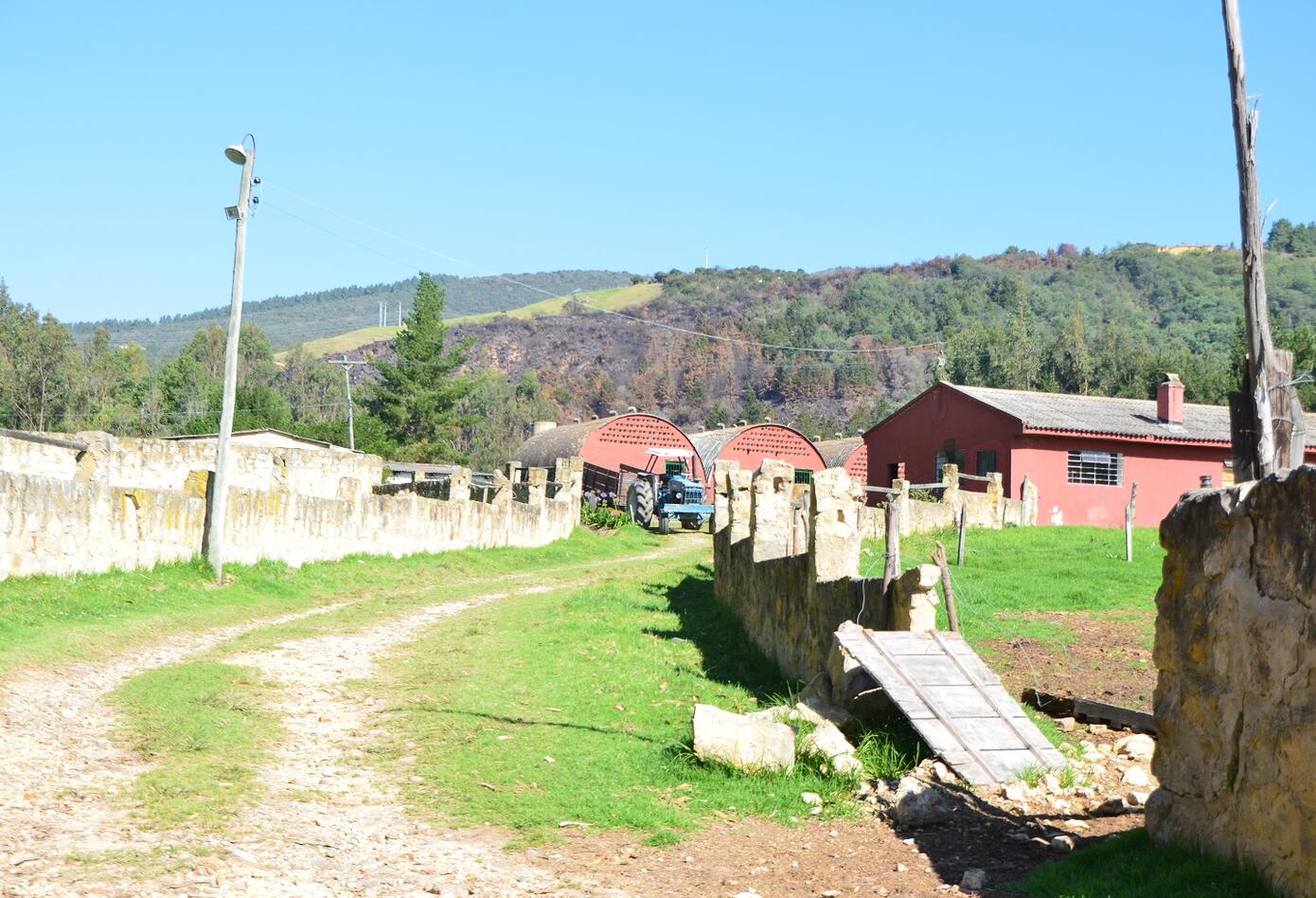Finca Fernando Sanclemente