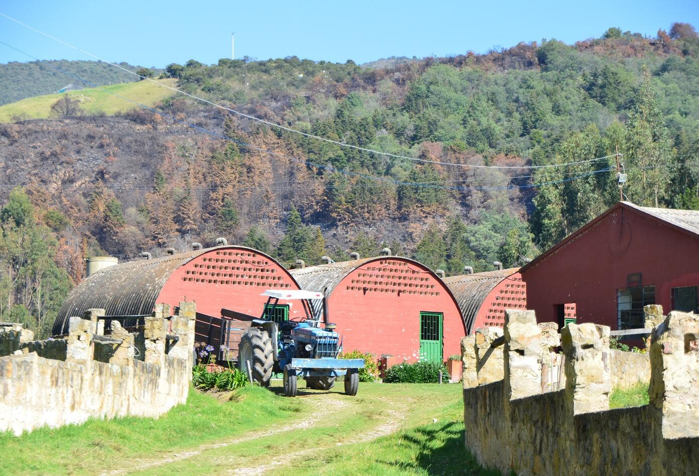 Finca Sanclemente