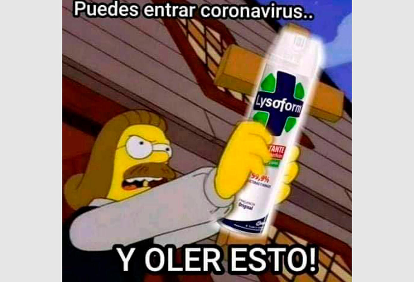Resultado de imagen para memes del coronavirus