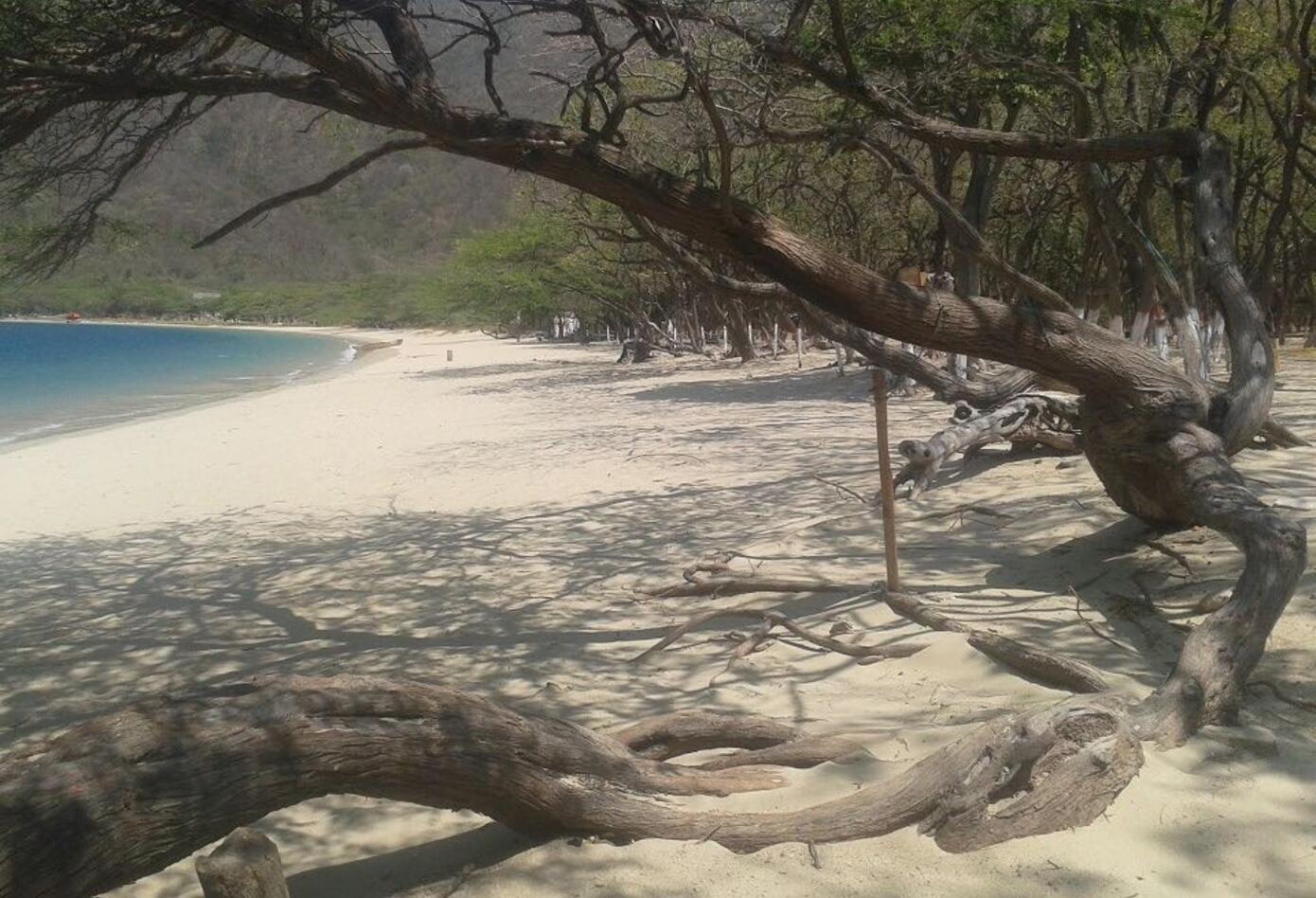 Bahía Concha, Parque Tayrona.