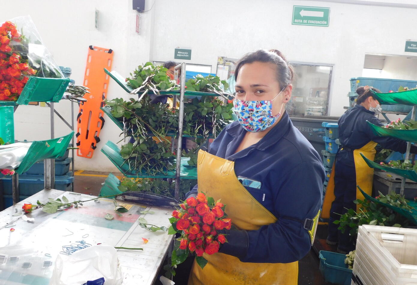 Empresa cultivadora de flores colombiana.