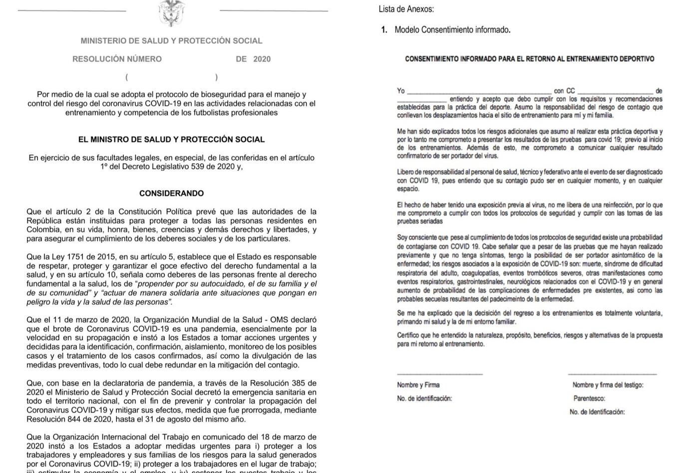 Protocolo de Dimayor