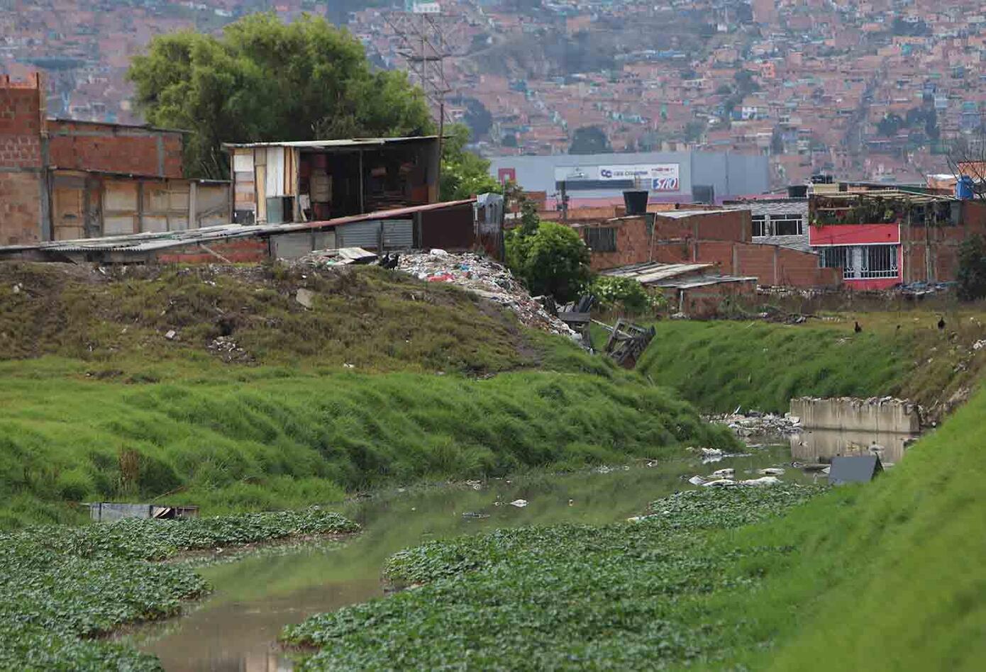 Humedal Tibanica, Soacha, Cundinamarca.