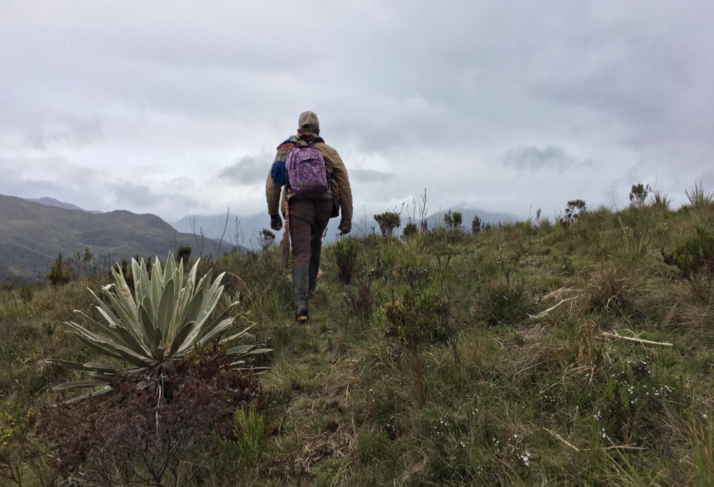 Jimmy Parra, campesino del Meta que sufrió el conflicto armado
