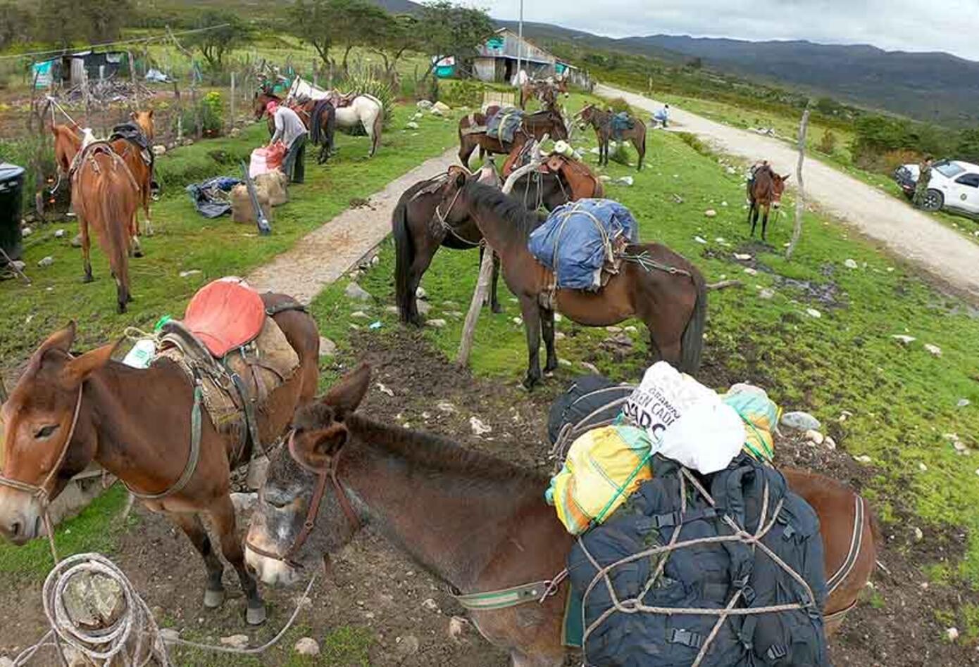 Vereda del Duda en el Norte del Meta