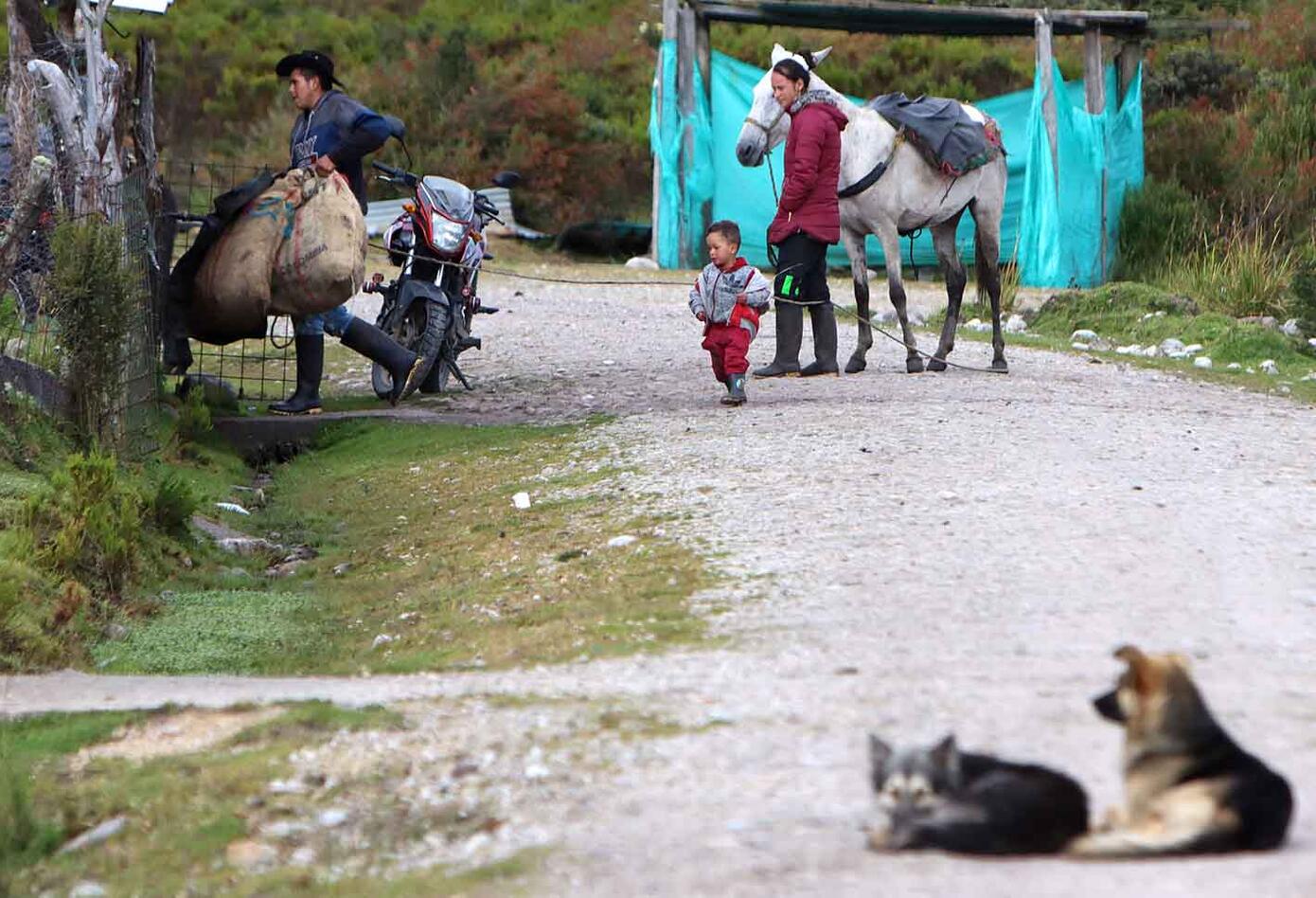 Campesinos del Meta