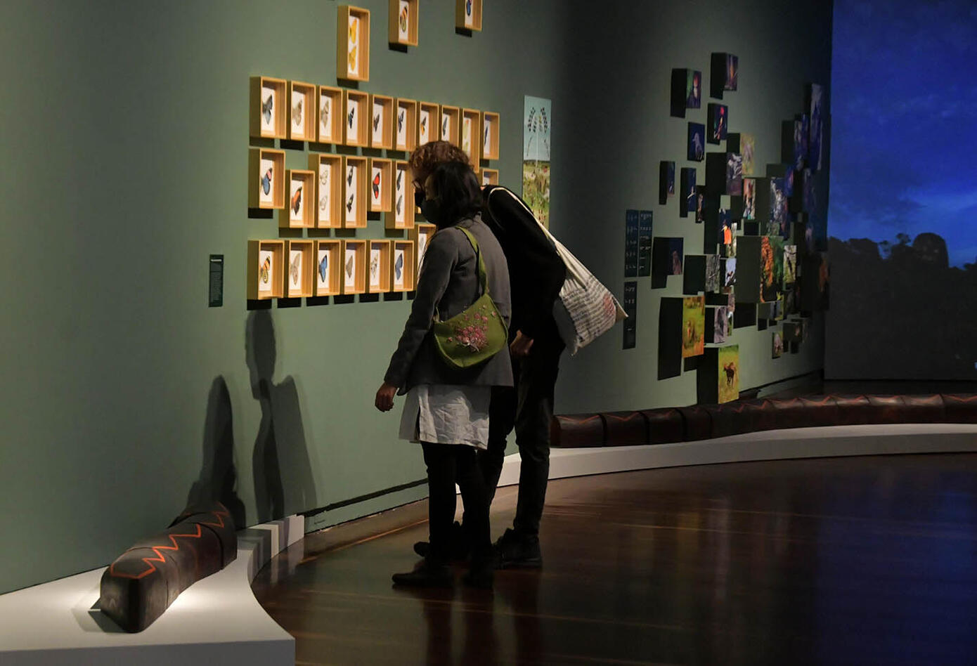 Reapertura Museo Nacional
