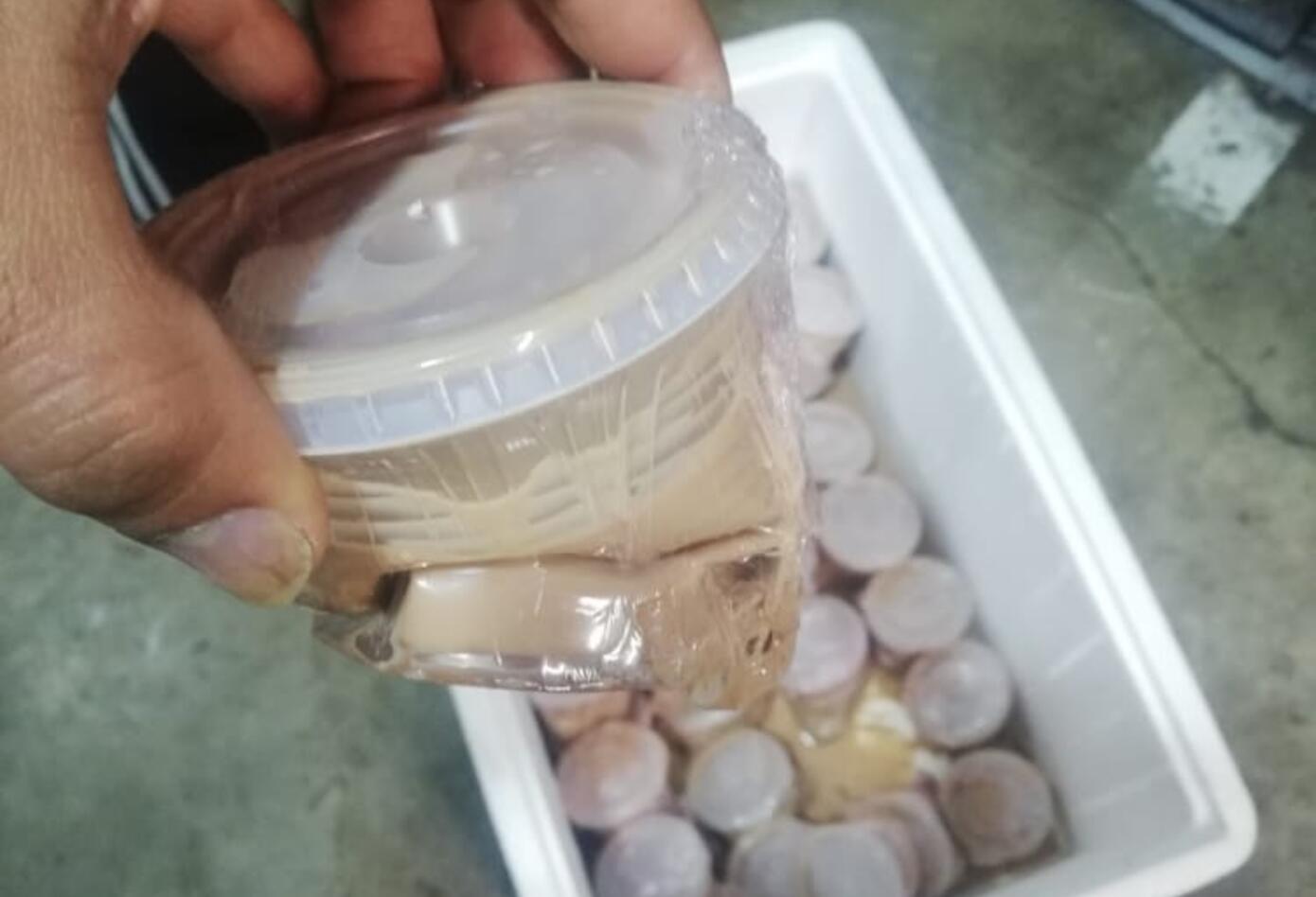 Comida en mal estado