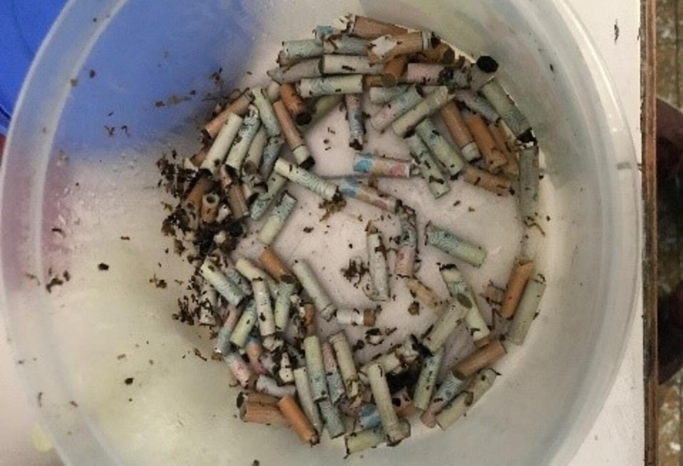 Colillas de cigarrillo transformadas en papel.