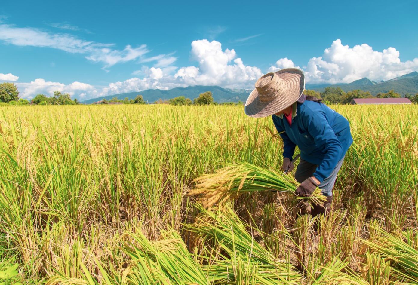 En 2019 se atendieron 331.871 productores, de los cuales el 39% recibieron crédito en condiciones FINAGRO por primera vez.