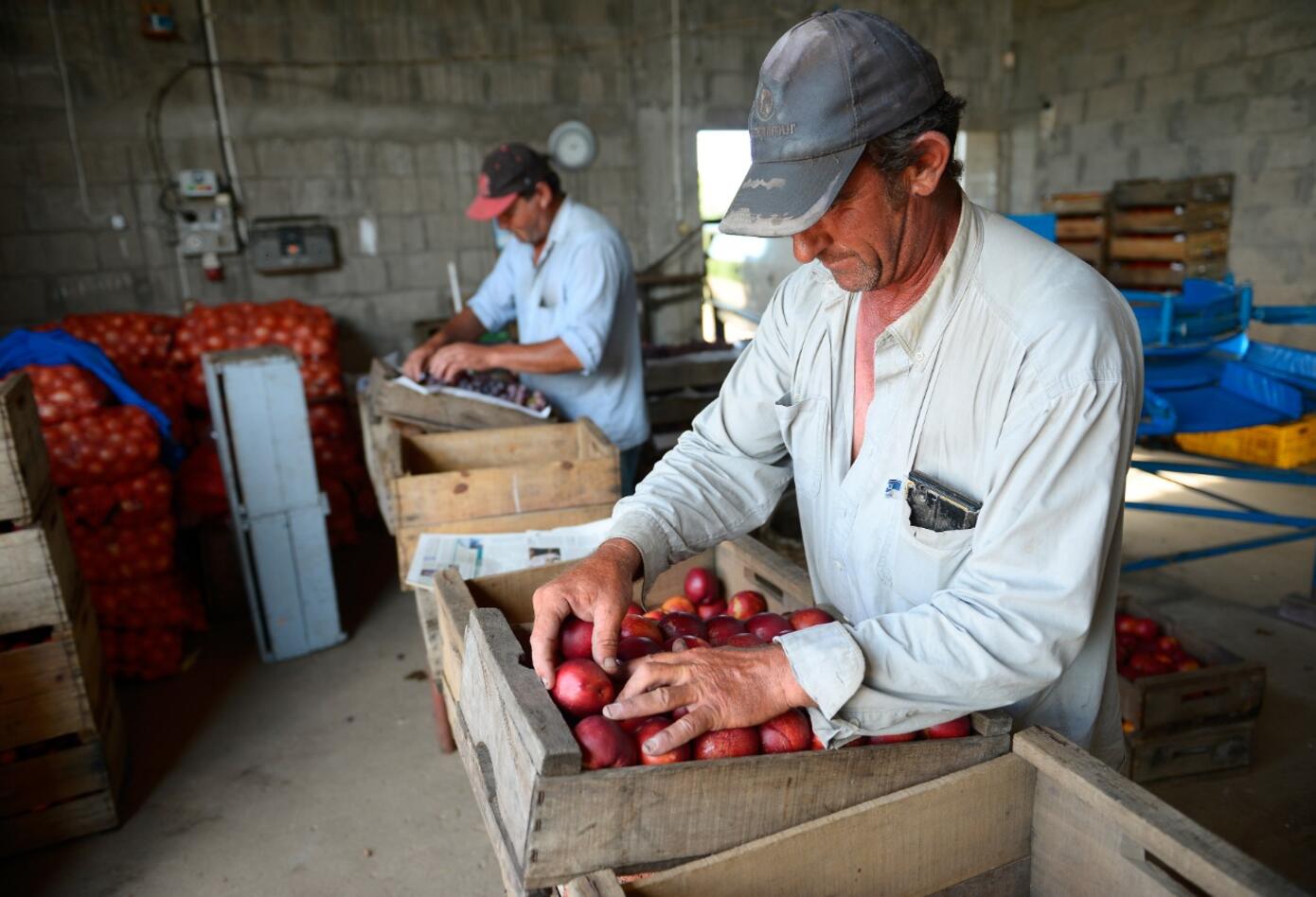 En 2019 se atendieron 331.871 productores, de los cuales el 39% recibieron crédito en condiciones FINAGRO por primera vez.