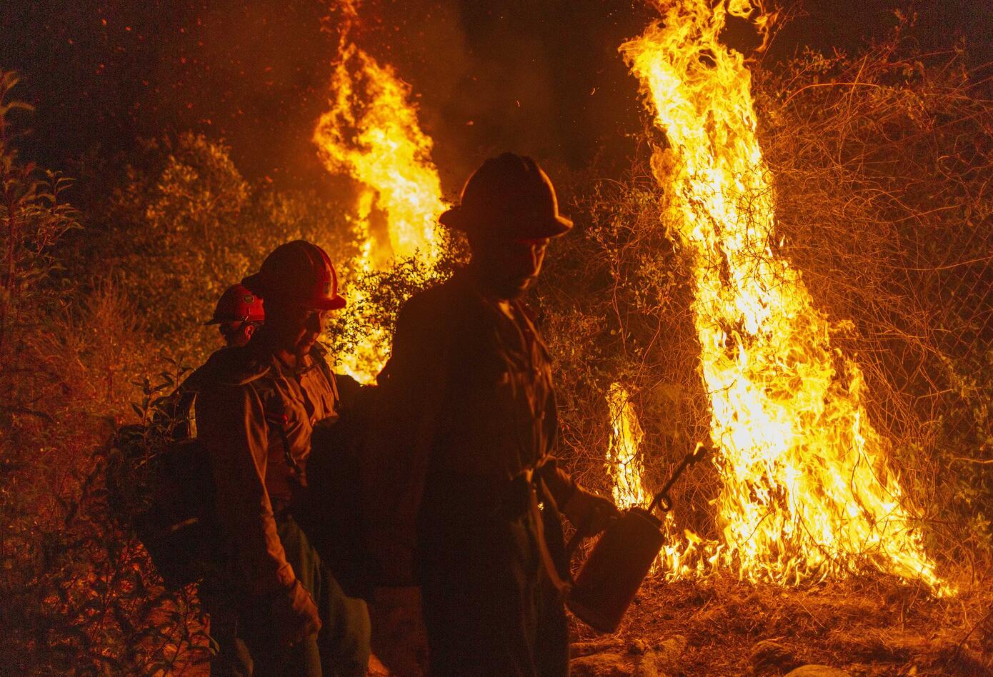 Incendio en humedal más grande del mundo en Brasil.