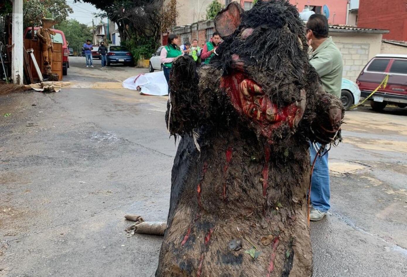 Rata gigante en México 2