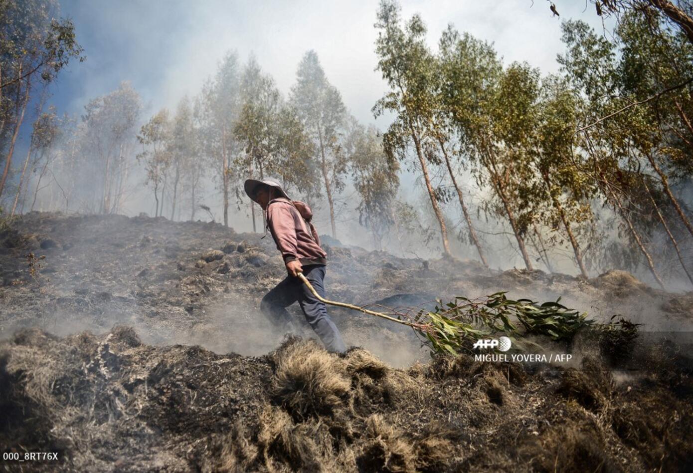 Incendio forestal cerca de parque arqueológico de Cusco (Perú)