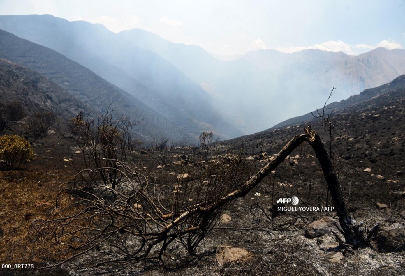 Incendio forestal cerca de parque arqueológico de Cusco (Perú)
