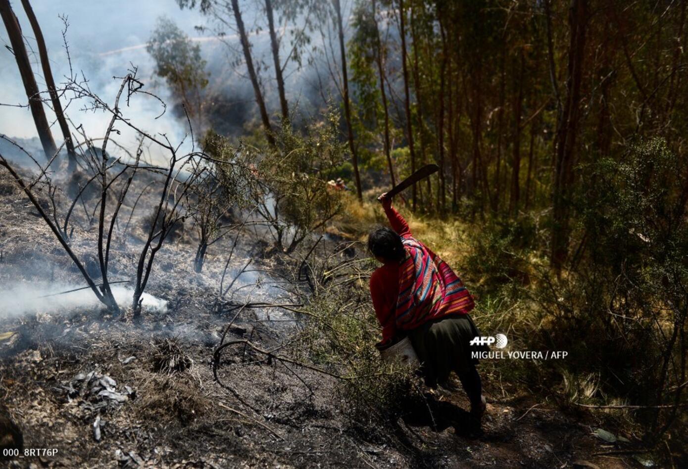 Incendio forestal cerca de parque arqueológico de Cusco (Perú)
