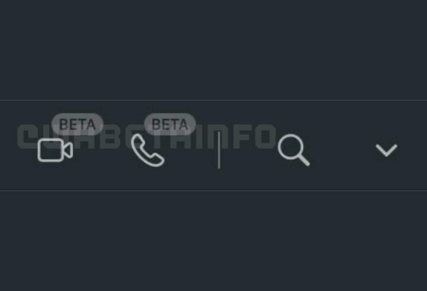 Botones de llamadas WhatsApp web