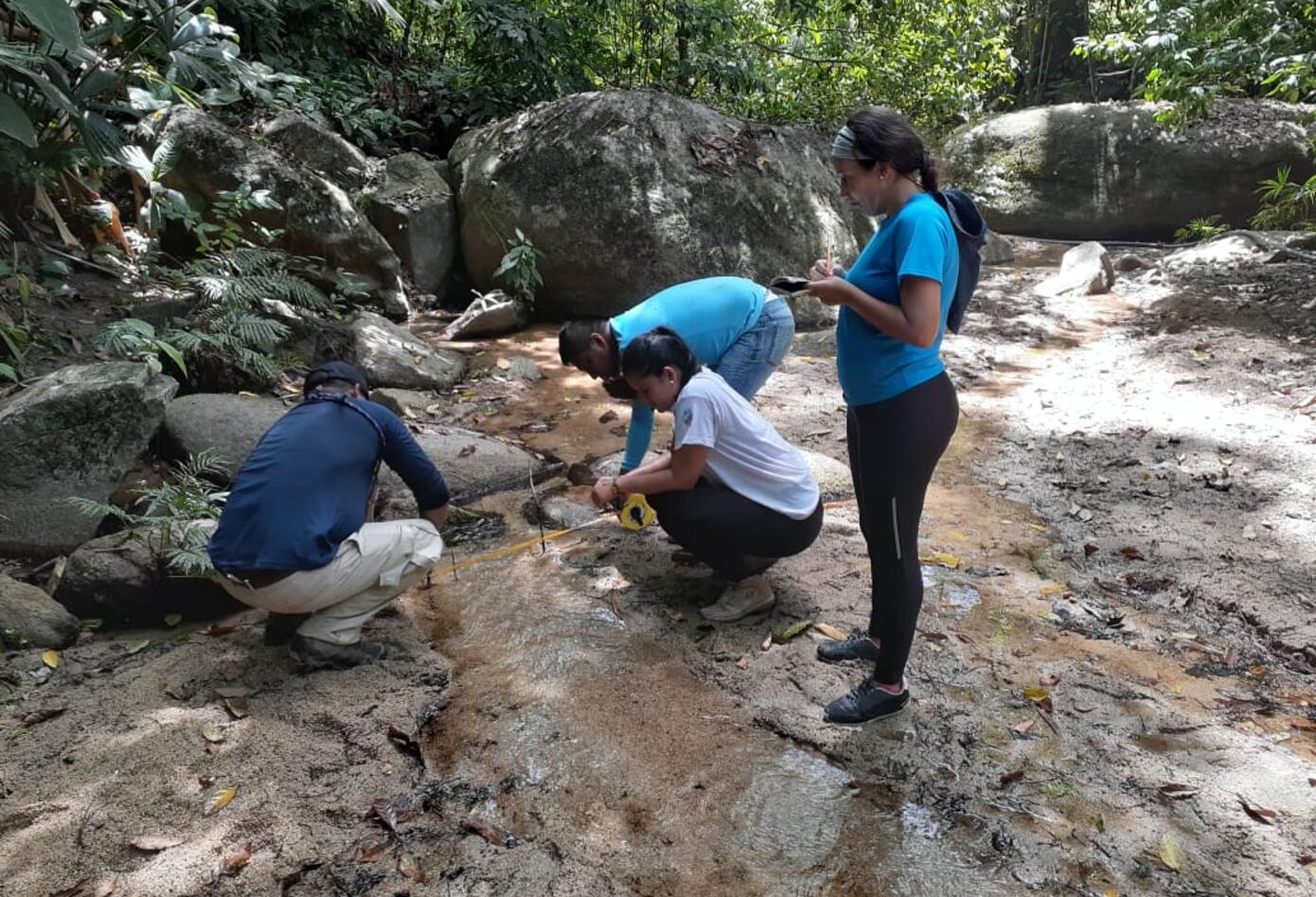 Avistamiento Parque Tayrona