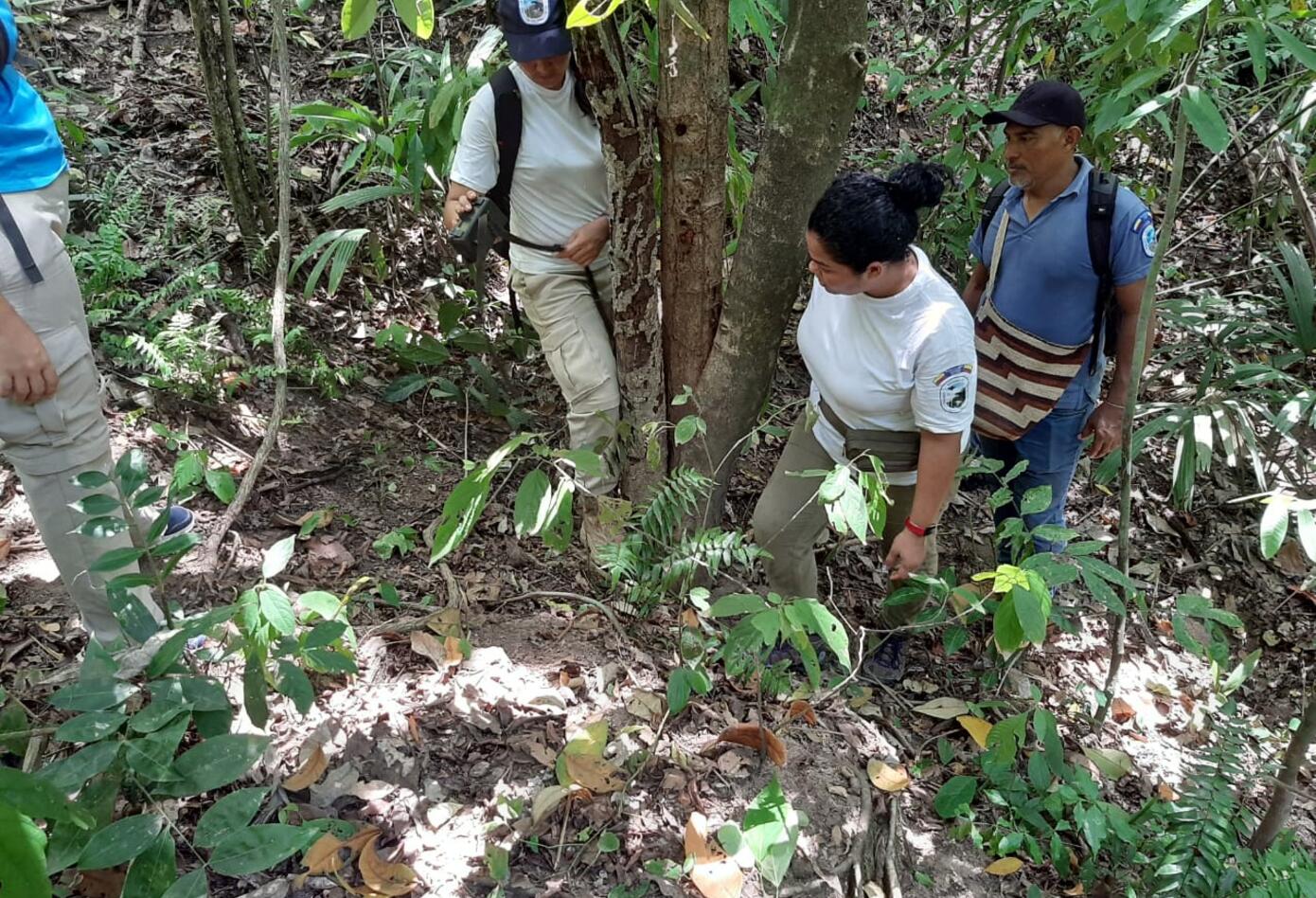 Avistamiento Parque Tayrona