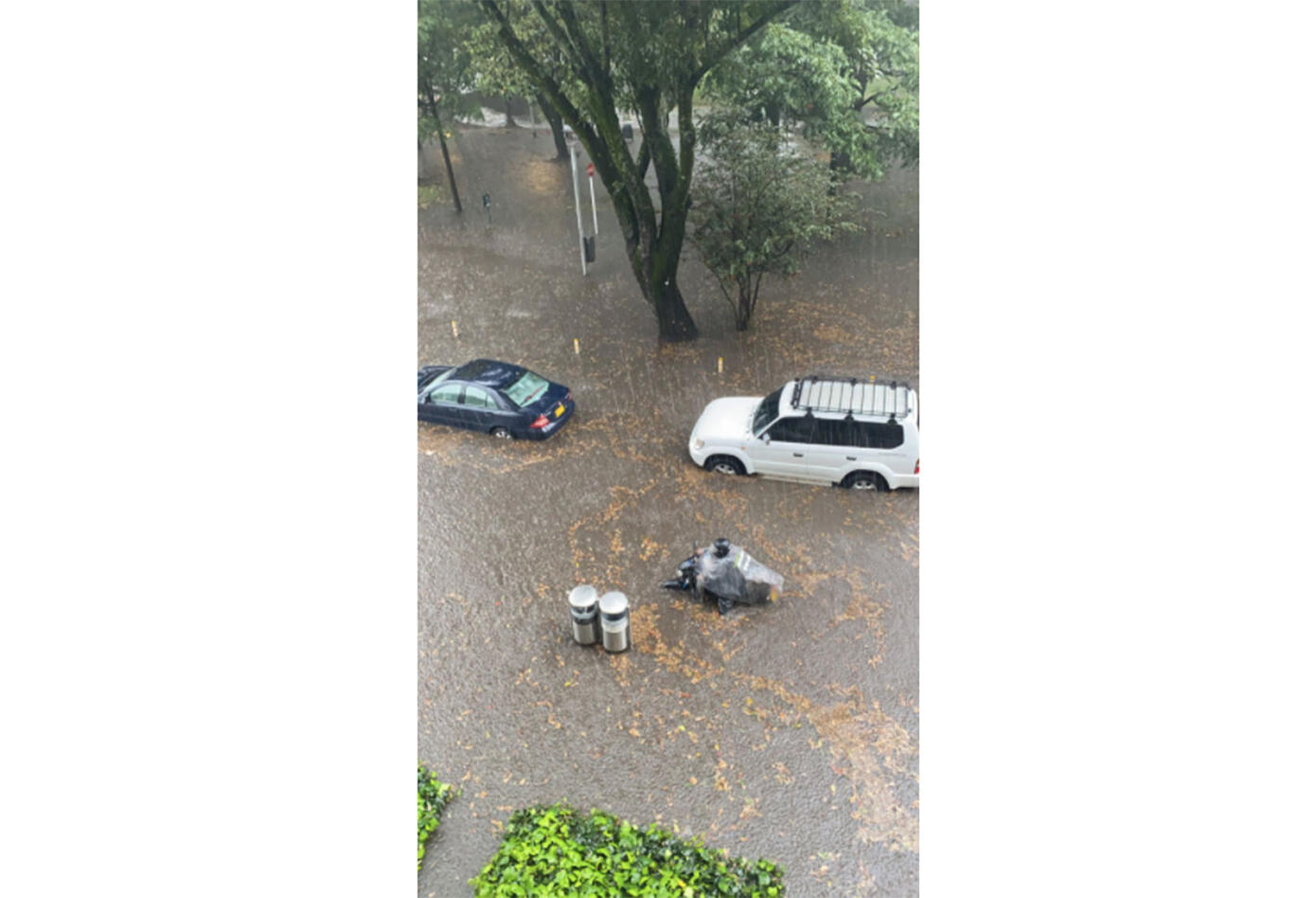 Fuerte aguacero dejó inundado el popular parque El Virrey