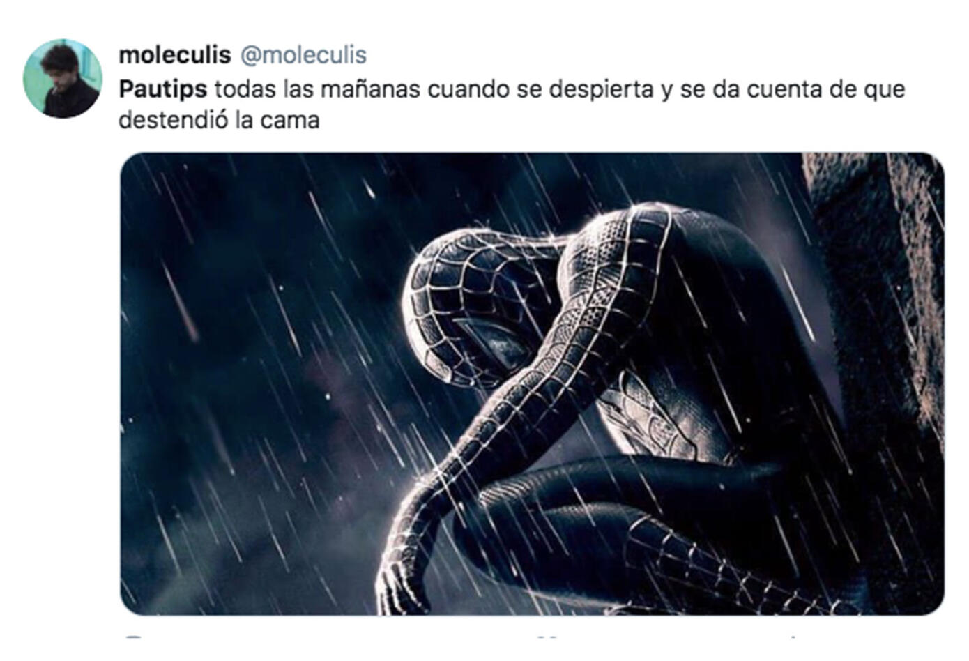 Memes Pautips