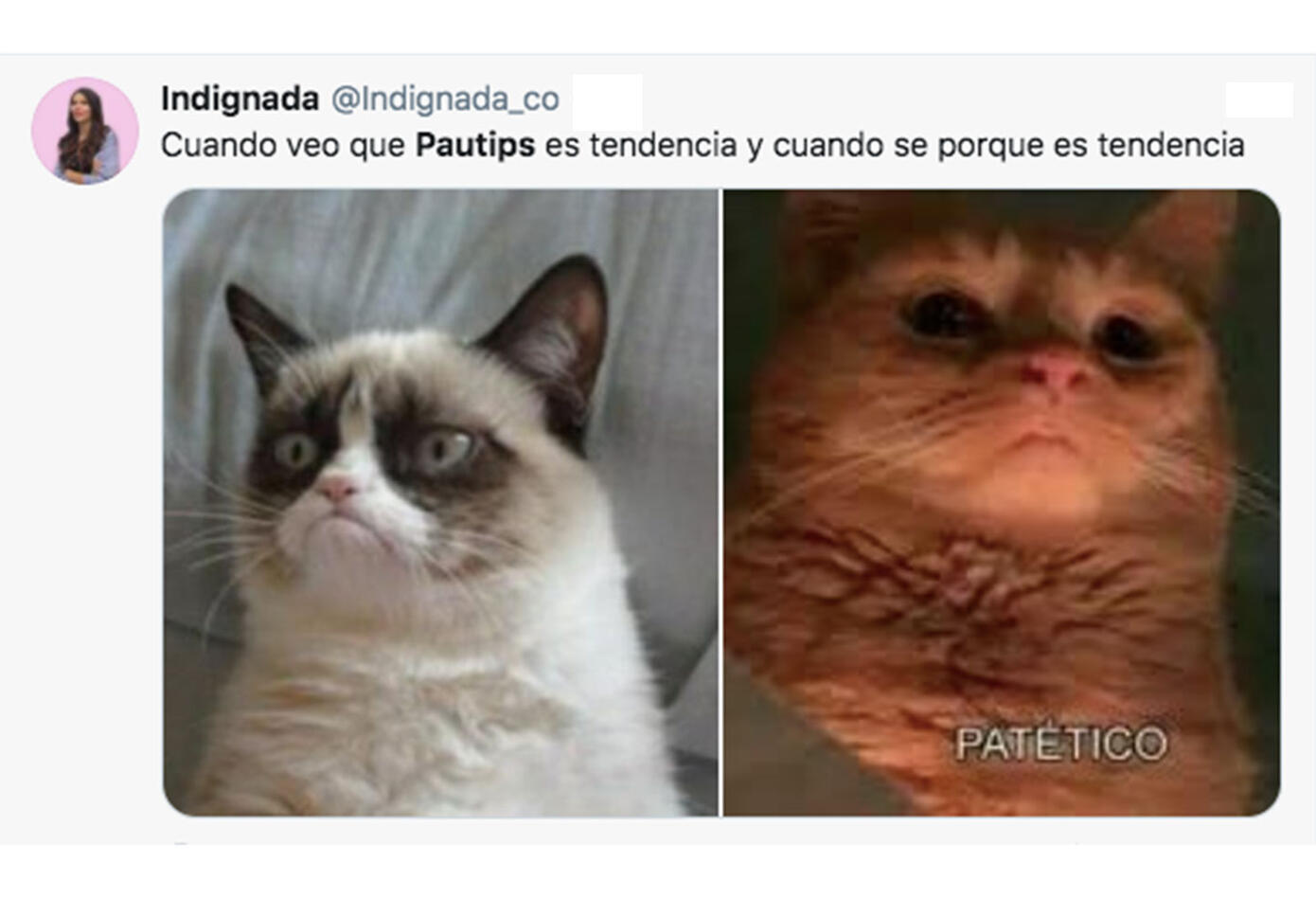 Memes Pautips