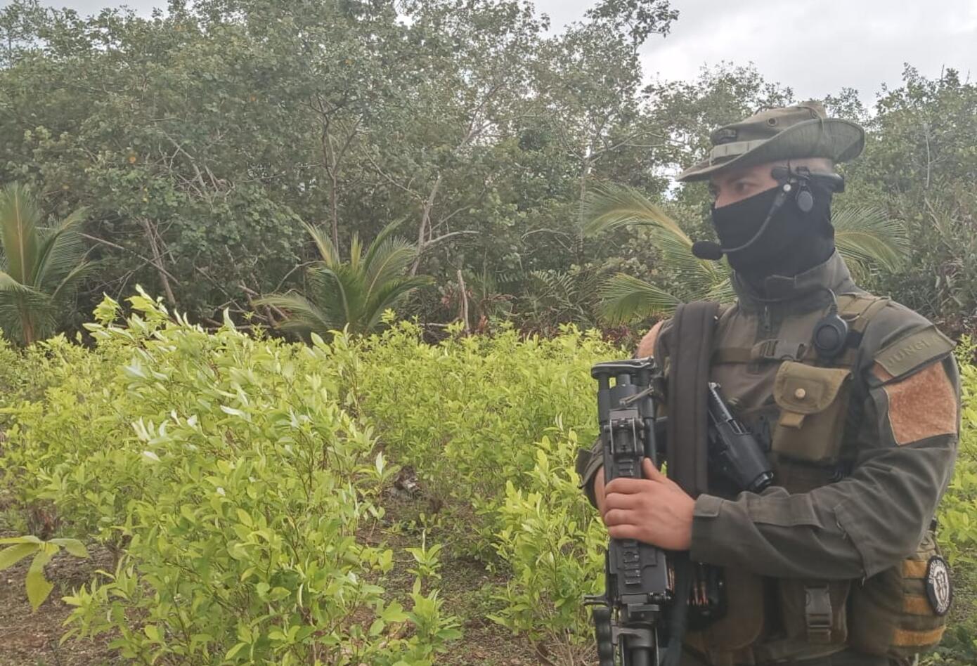 Erradicación en 2020