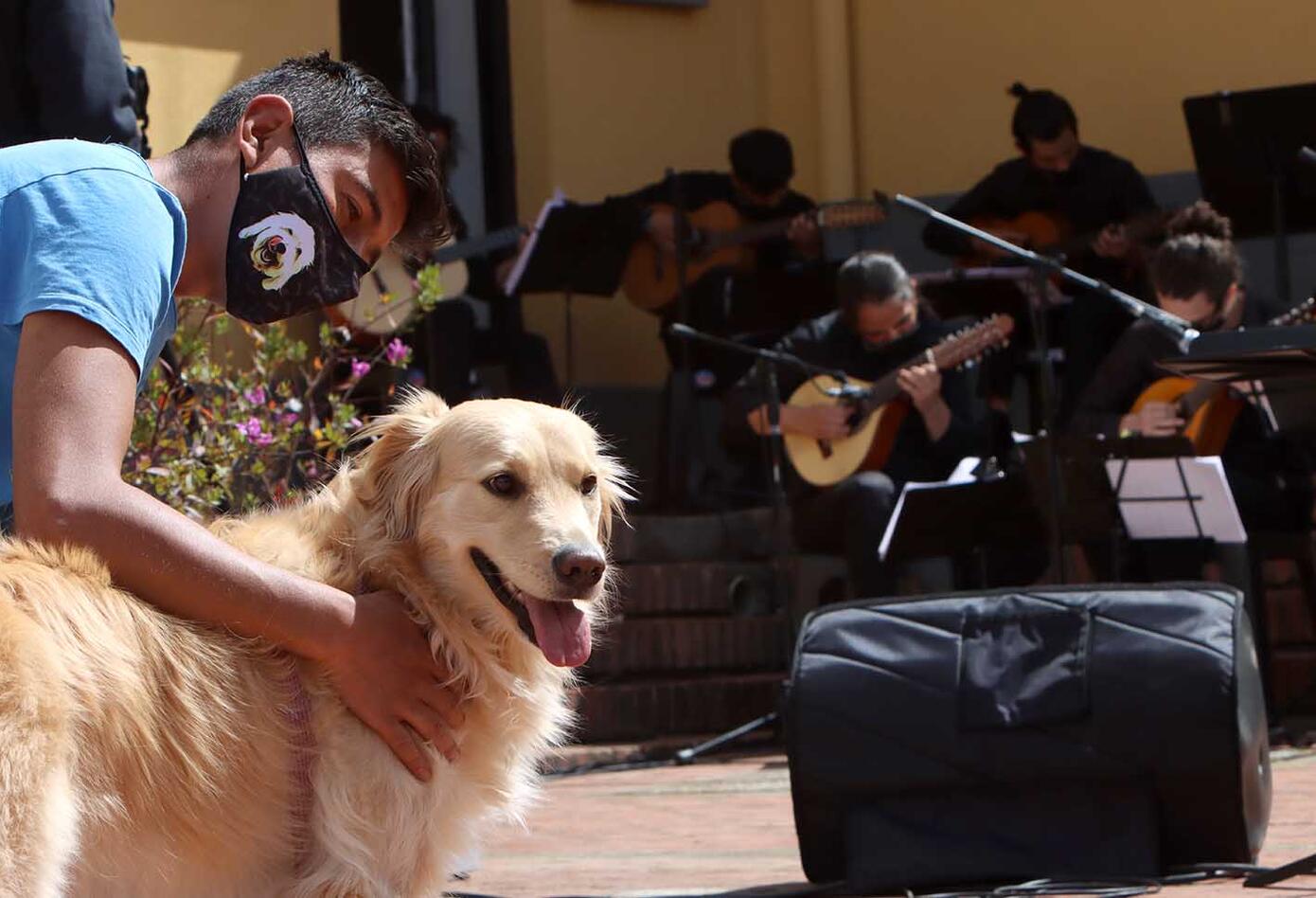 Realizan concierto en Bogotá por los derechos de los animales