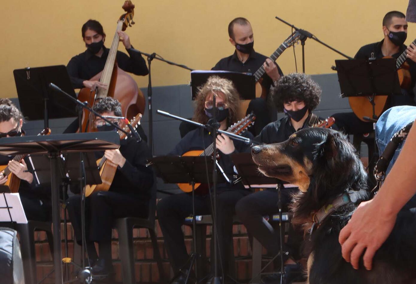 Realizan concierto en Bogotá por los derechos de los animales
