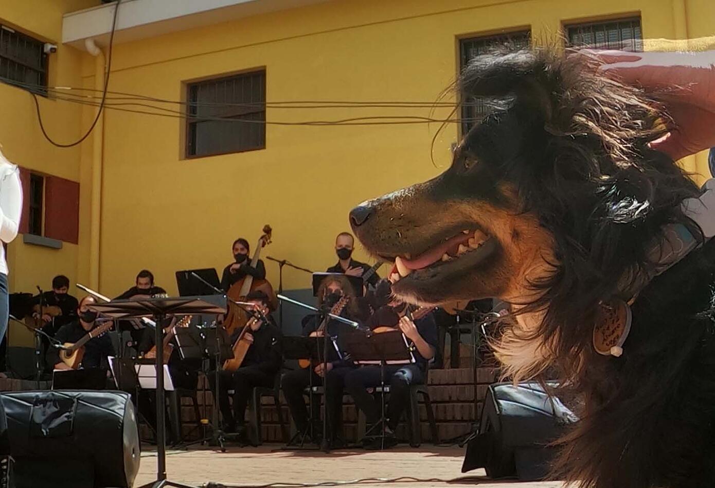 Realizan concierto en Bogotá por los derechos de los animales