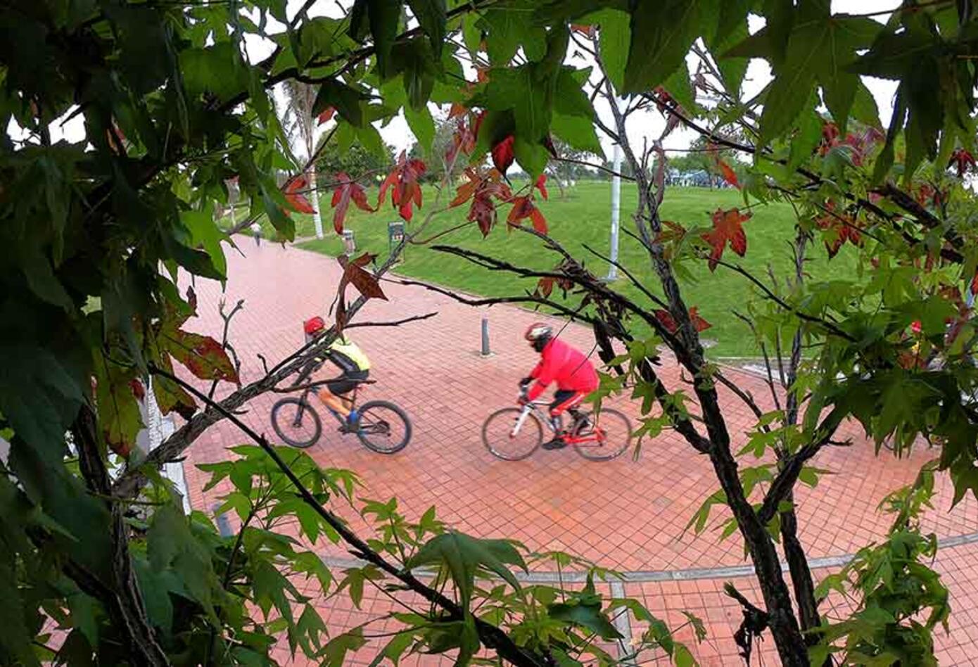 Bicicletas - uso de bicicleta en Bogotá